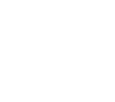 THE RESULTS